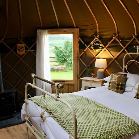 Sunbank Accommodation Ланголен Екстериор снимка