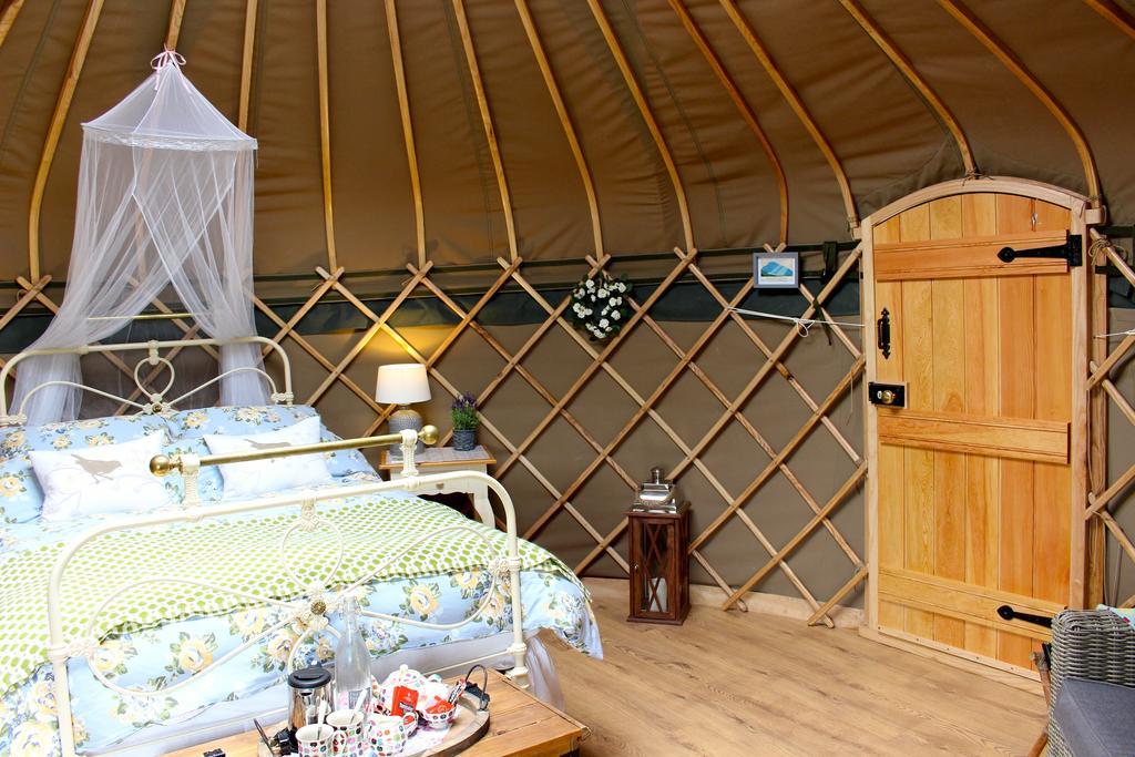 Sunbank Accommodation Ланголен Екстериор снимка
