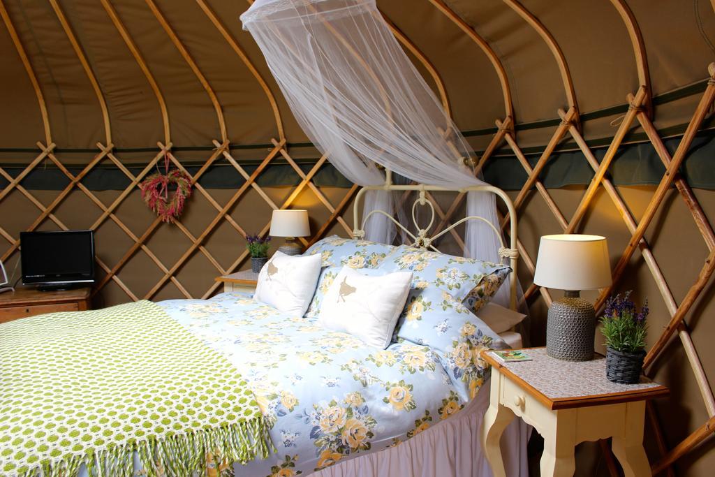 Sunbank Accommodation Ланголен Екстериор снимка