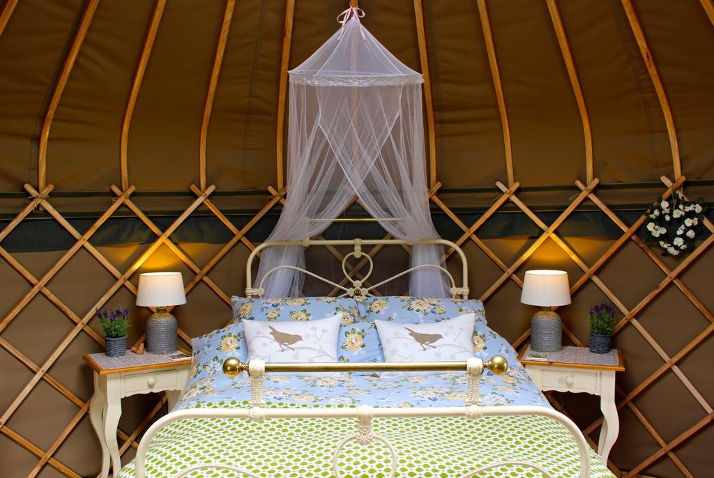 Sunbank Accommodation Ланголен Екстериор снимка