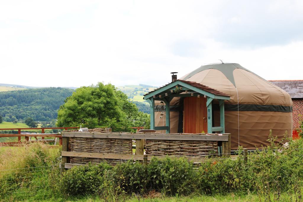 Sunbank Accommodation Ланголен Екстериор снимка