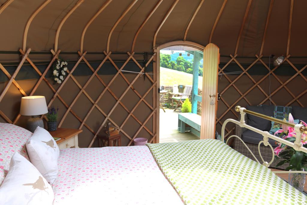 Sunbank Accommodation Ланголен Екстериор снимка
