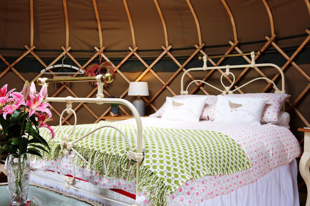 Sunbank Accommodation Ланголен Екстериор снимка