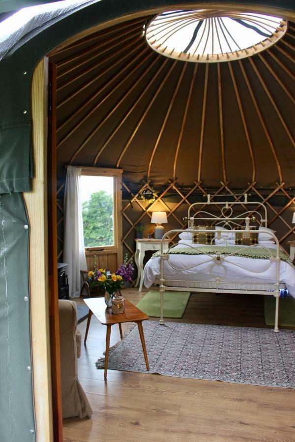 Sunbank Accommodation Ланголен Екстериор снимка