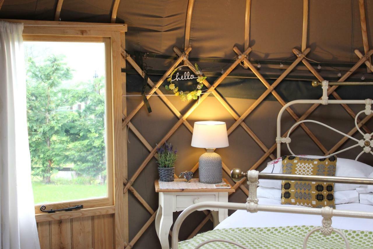 Sunbank Accommodation Ланголен Екстериор снимка